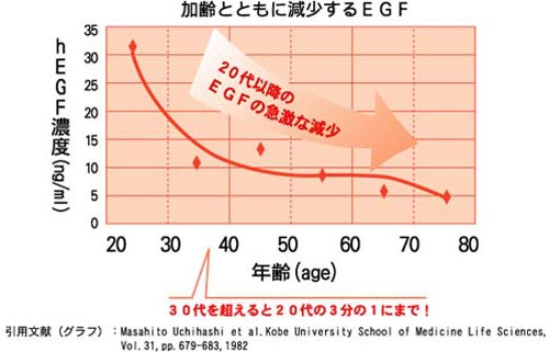 年齢によるEGFの急減