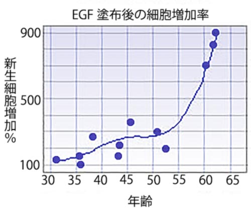 EGF補給による肌細胞の増加率