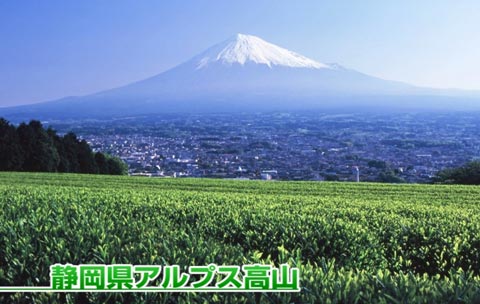 静岡県産南アルプス高山緑茶