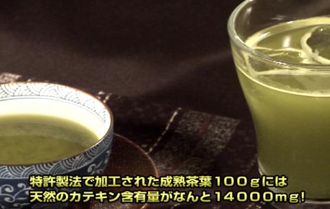 エピガロカテキンガレート緑茶